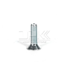 COUNTERSUNK SCREW