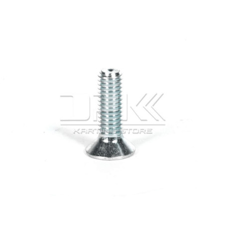 COUNTERSUNK SCREW